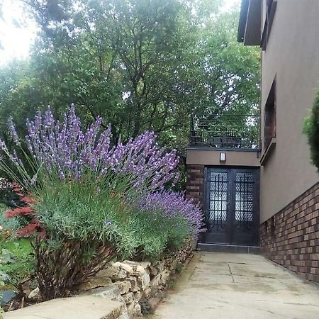 Apartman V Zahrade Praha Troja - Apartment In The Garden Prague Troja エクステリア 写真